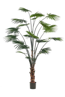 Emerald Kunstplant Livistona Palm 240cm