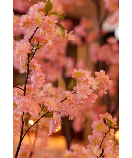 Roze Kersenbloesem Poster | Dromerige roze bloemen wanddecoratie | Poster Store Nederland Roze Kersenbloesem Poster | Dromerige roze bloemen wanddecoratie | Poster Store Nederland