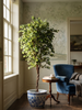 Emerald Kunstboom Ficus Deluxe Vine 170cm