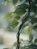 Emerald Kunstboom Ficus Deluxe Vine 170cm