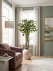 Emerald Kunstboom Ficus Liana 140cm