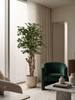 Emerald Kunstboom Ficus Liana 140cm
