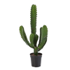 Kunst cactussen