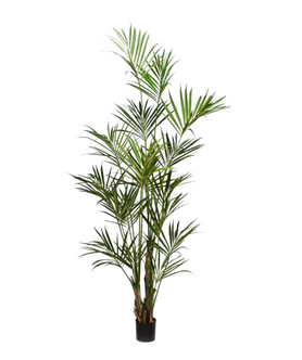 Everplant Kunstplant Natuurlijke Kentia Palm 260 cm
