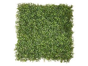 Emerald Kunst Plantenwand Buxus UV 50x50cm