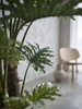 Emerald Kunstplant Philodendron Selloum 80cm