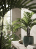 Emerald Kunstplant Phoenix Palm 120cm