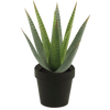 Kunst vetplanten