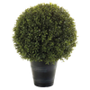 Kunst Buxus