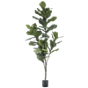 Kunst Ficus