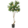Kunst fruitbomen