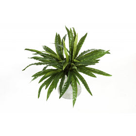 Everplant Kunst Varen 65 cm
