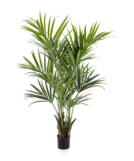 Everplant Kunstplant Kentia Palm Deluxe 172 cm