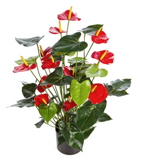 Everplant Kunstplant Anthurium Rood 78 cm met Pot