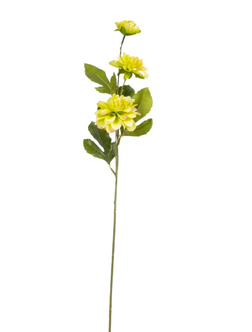 Everplant Kunstbloem Asteraceae Geel 58 cm