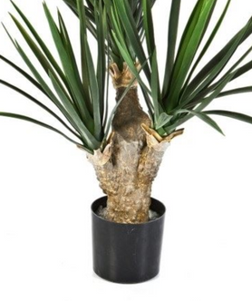 Everplant Kunstplant Baby Yucca 68 cm