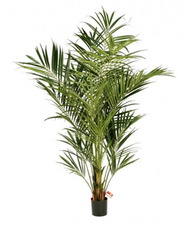 Everplant Kunstplant Nat. Kentia Palm De Luxe 225 cm
