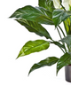 Everplant Kunstplant Lepelplant 73 cm