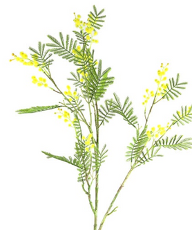 Everplant Kunstbloem Mimosa 110 cm