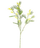 Everplant Kunstbloem Mimosa 110 cm