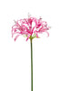 Emerald Kunstbloem Nerine 75cm roze