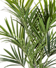 Everplant Kunstplant Kentia Palm Deluxe 172 cm