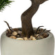 Everplant Kunst Bonsai Pinus Mugo 25 cm