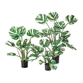 Everplant Kunstplant Monstera Delicosa Wit 60 cm