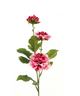 Everplant Kunstbloem Asteraceae Fuchsia 58 cm