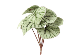 Everplant Kunstplant Begonia Groen 24 cm