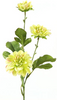 Everplant Kunstbloem Asteraceae Geel 58 cm