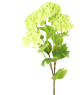 Everplant Kunstbloem Viburnum Groen 61 cm