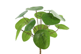 Everplant Kunst Pannenkoekenplant 25 cm