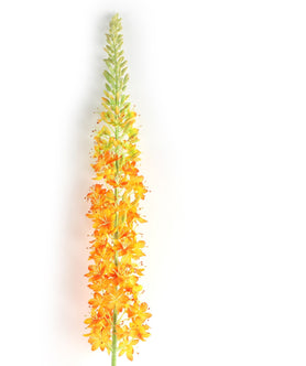 Everplant Kunstbloem Lythrum Oranje 127 cm