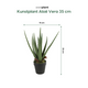 Everplant Kunstplant Aloë Vera 35 cm