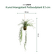 Everplant Kunst Potloodplant 83 cm