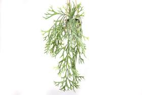 Everplant Kunst Hangplant Hertshoornvaren 55 cm