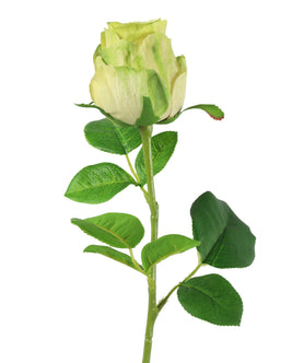 Everplant Kunstbloem Roos Groen 52 cm
