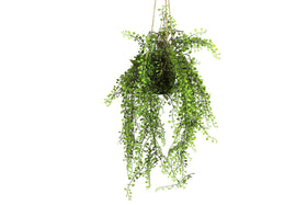 Everplant Kunst Hangplant Slaapkamergeluk 100 cm