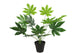 Everplant Kunstplant Fatsia 45 cm