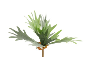 Everplant Kunst Herthoornsvaren 64 cm