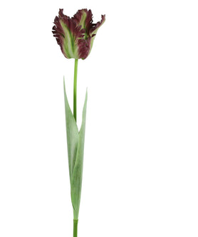 Everplant Kunstbloem Tulp Paars 69 cm