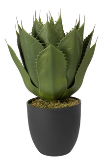 Everplant Kunstplant Agave 57 cm