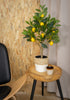 Everplant Kunst Citroenboom 75 cm