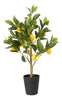 Everplant Kunst Citroenboom 75 cm