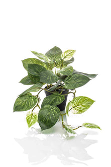 Emerald Kunstplant in pot Scindapsus groen/wit 55cm