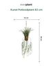 Everplant Kunst Potloodplant 83 cm