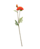 Everplant Kunstbloem Papaver Oranje 64 cm