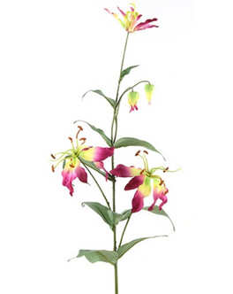 Everplant Kunstbloem Gloriosa Paars 97 cm