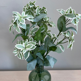 Everplant Kunsttak Euphorbia Marginata 67 cm